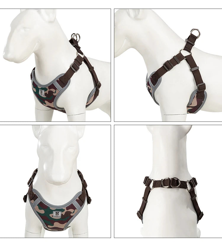 Ensemble Harnais et Laisse Réglable pour Chat et Petit Chien