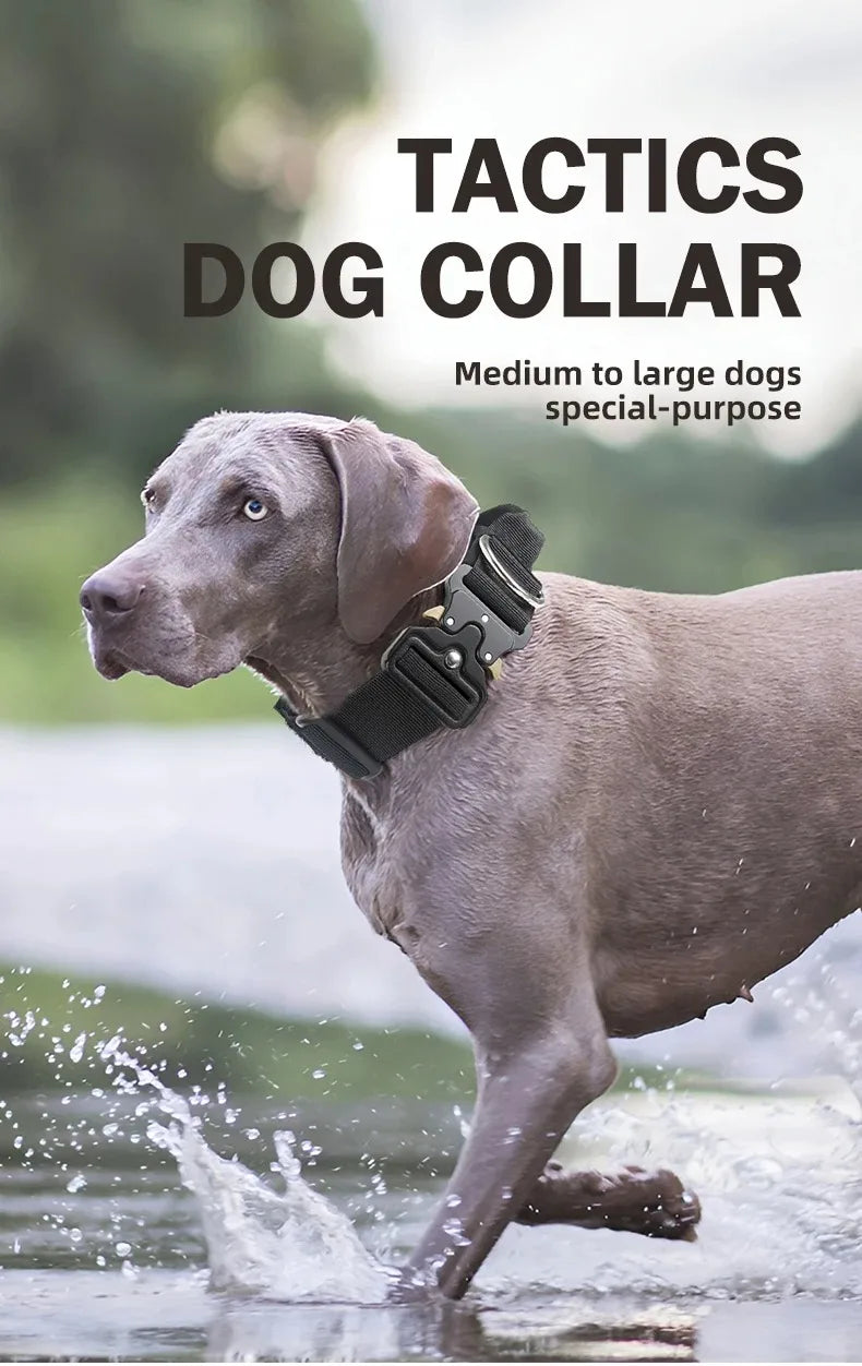 Ensemble Harnais et Accessoires Flexibles pour Bouledogue Français