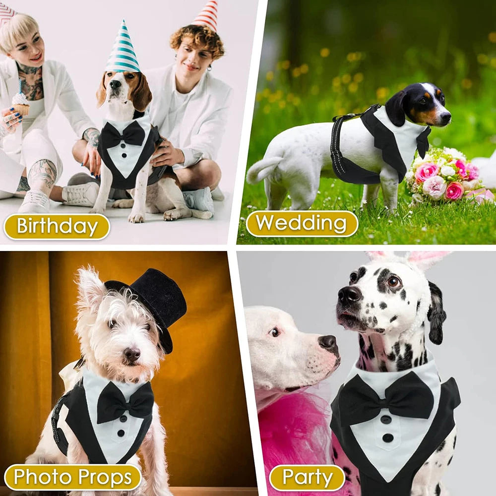 Harnais avec Nœud Papillon pour Petit et Moyen Chien - Anti-Traction