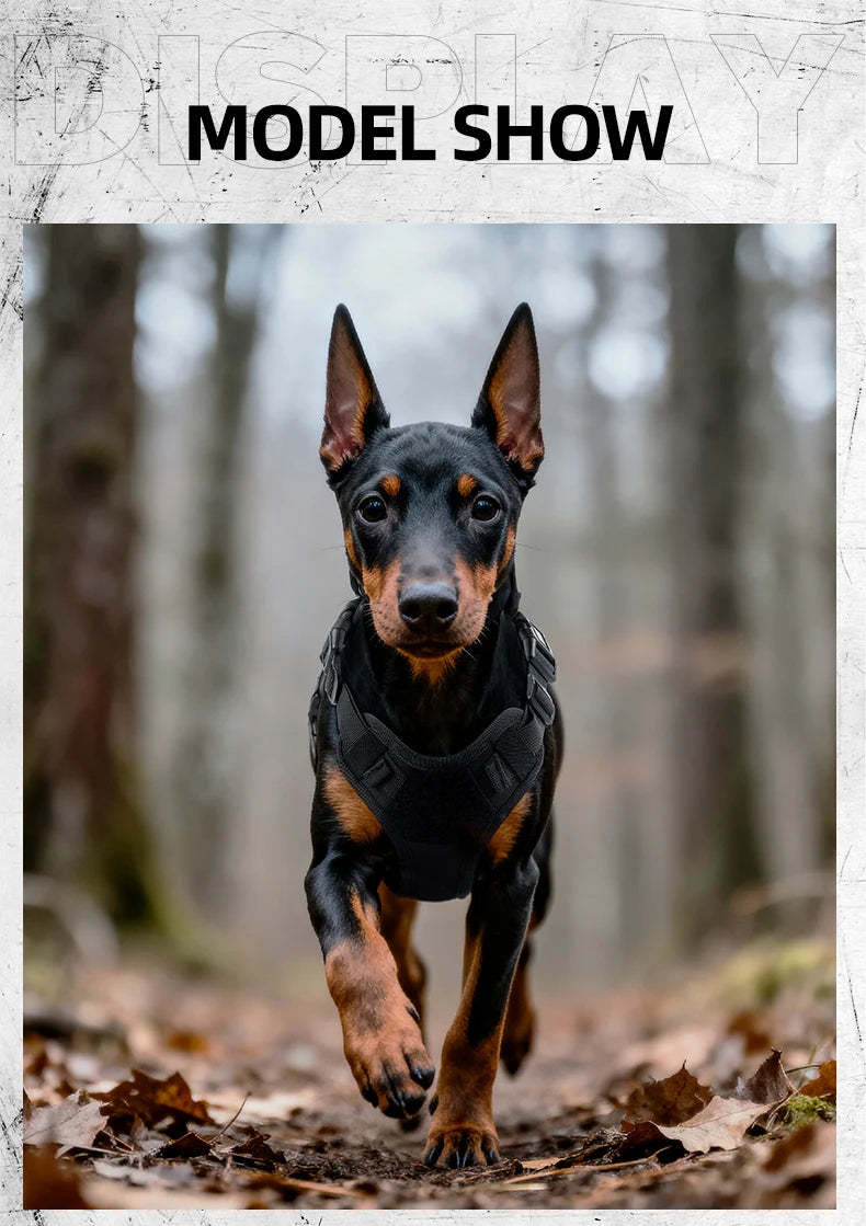 Harnais Tactique Robuste Réfléchissant pour Chien - Entraînement