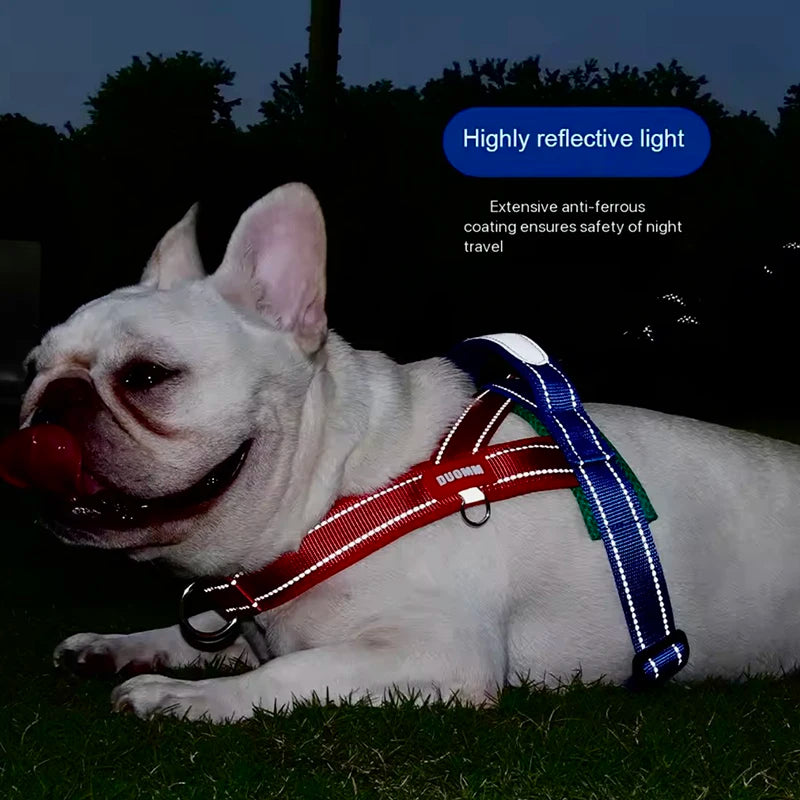Harnais à la Mode Style Selle pour Chien - Toutes Tailles