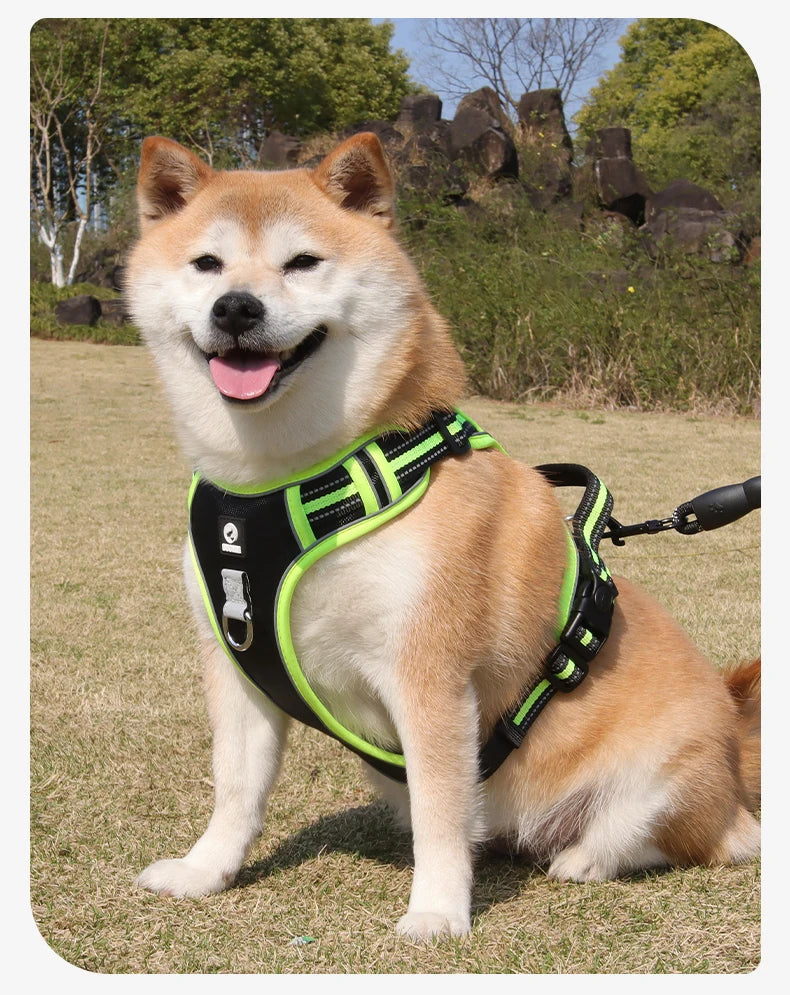 Harnais Oxford Anti-Évasion Réfléchissant pour Grand Chien - avec Collier