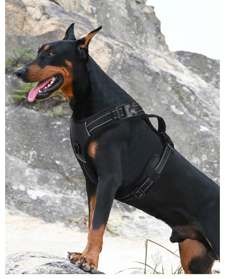 Harnais Rembourré Sans Étranglement pour Petit et Grand Chien