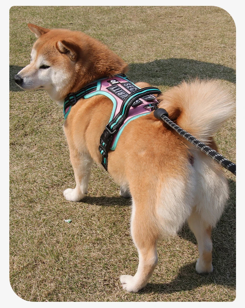 Harnais Oxford Anti-Évasion Réfléchissant pour Grand Chien - avec Collier