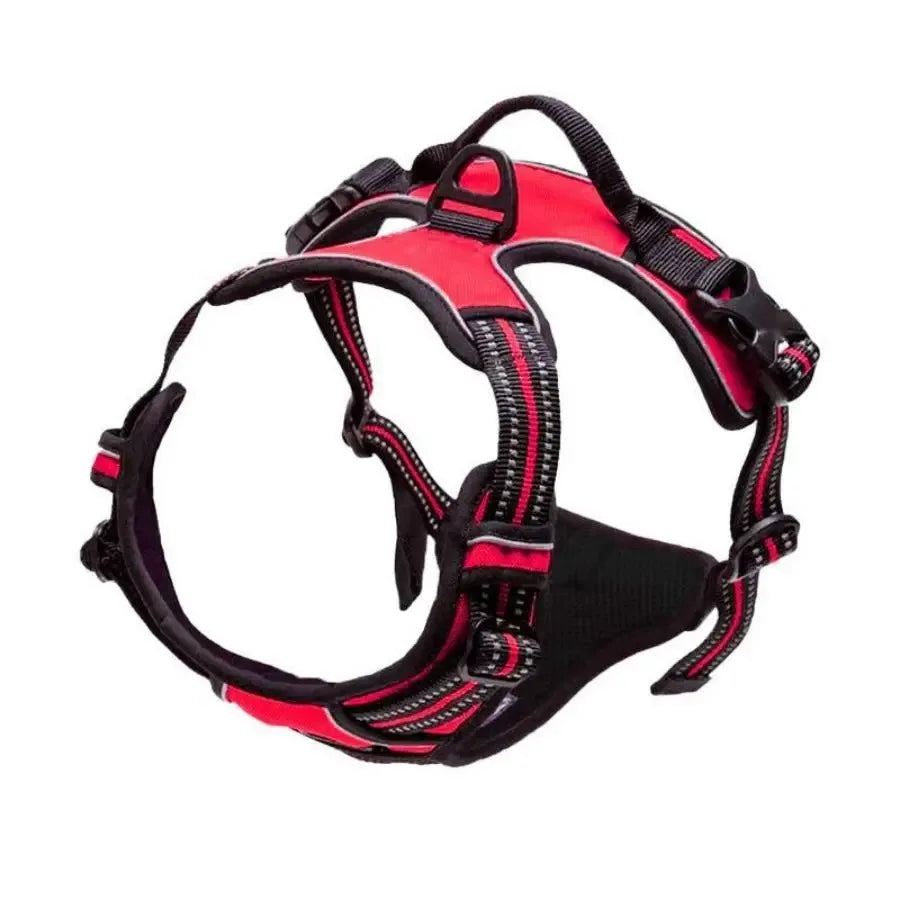 Ensemble Colliers, Harnais et Laisse en Cuir pour Chiot - Petit/Moyen Chien