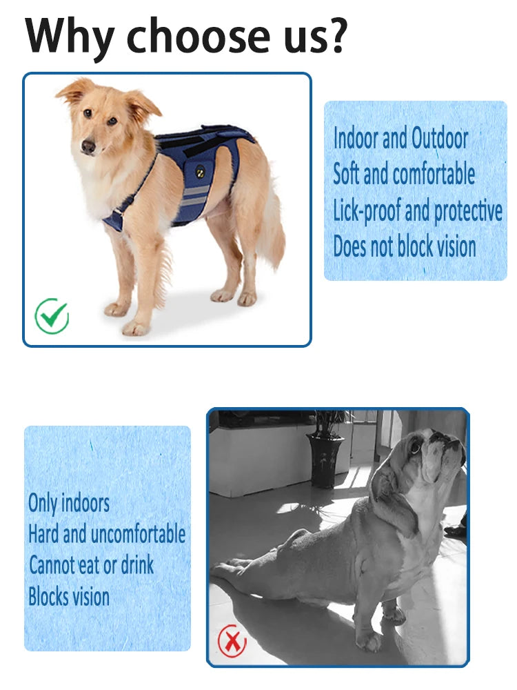 Harnais de Soutien Dorsal COODEO - Protection Colonne Vertébrale