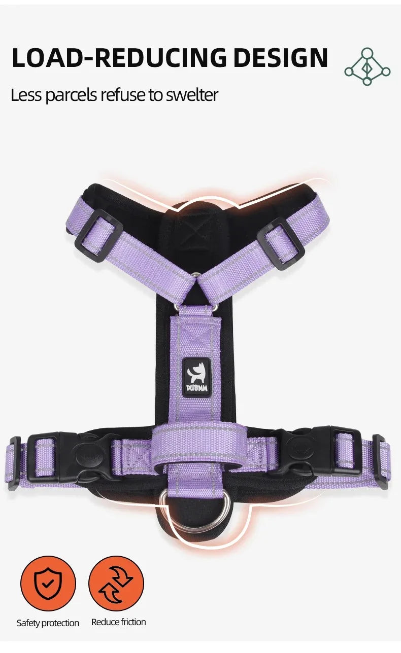 Ensemble Harnais, Laisse et Collier Classique pour Chien