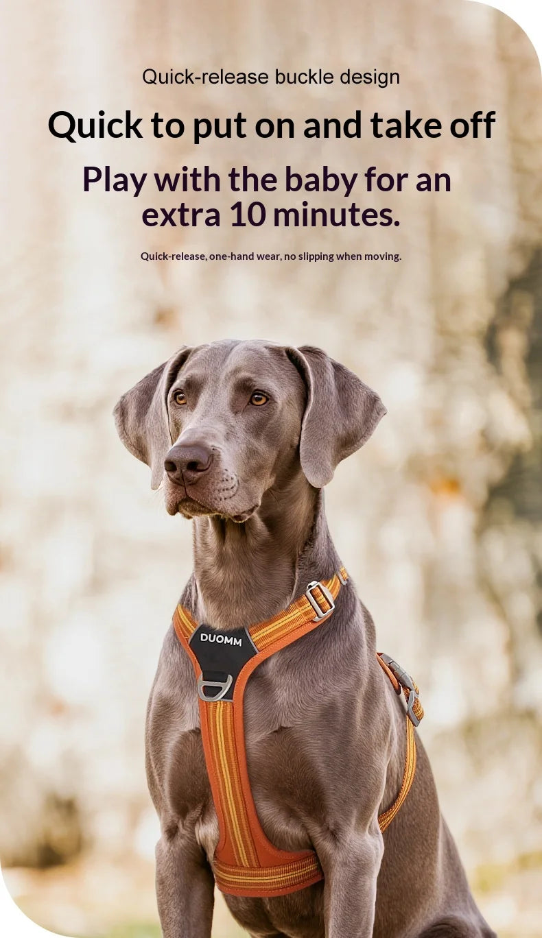 Harnais Anti-Traction Souple et Résistant pour Chien