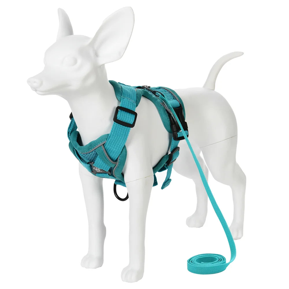 Ensemble Harnais et Laisse pour Petit Chien - Réfléchissant