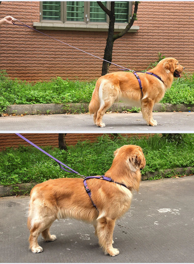 Harnais Anti-Évasion Type H pour Chien - Lavable, Réglable