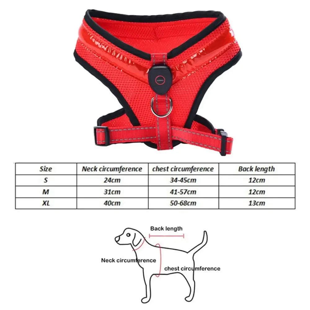 Harnais LED Lumineux Rechargeable pour Chien - Sorties Nocturnes