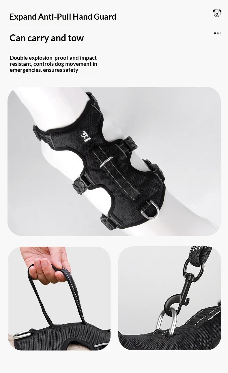 Harnais Anti-Évasion Grand Chien - Laisse Oxford Incluse