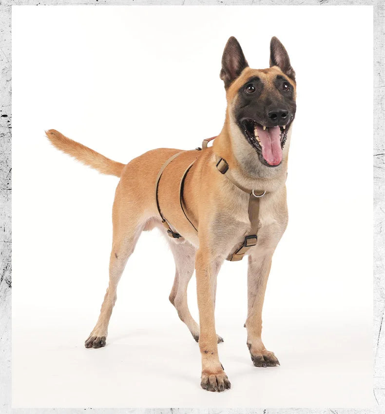 Harnais Anti-Fuite en Nylon avec Poignée pour Golden Retriever, Husky