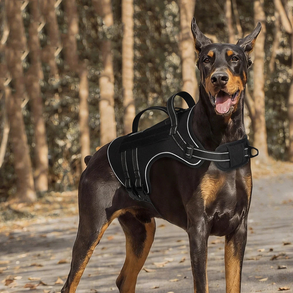 Harnais Tactique 3D Anti-Traction pour Chien Moyen/Grand - Réfléchissant