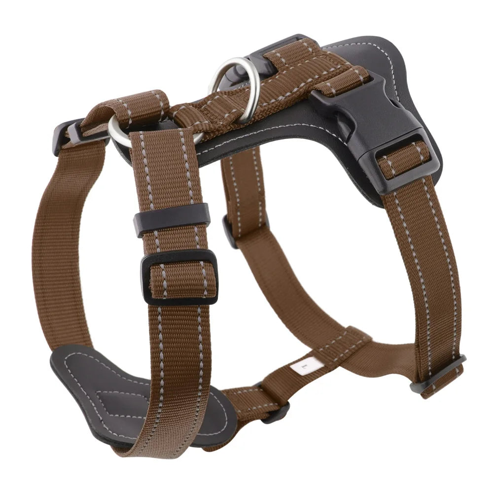 Harnais en Cuir pour Chien - Style Gilet, avec Collier et Laisse