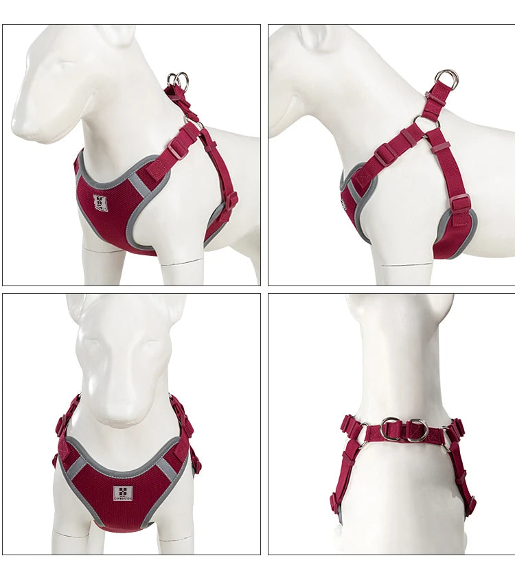 Ensemble Harnais et Laisse Réglable pour Chat et Petit Chien