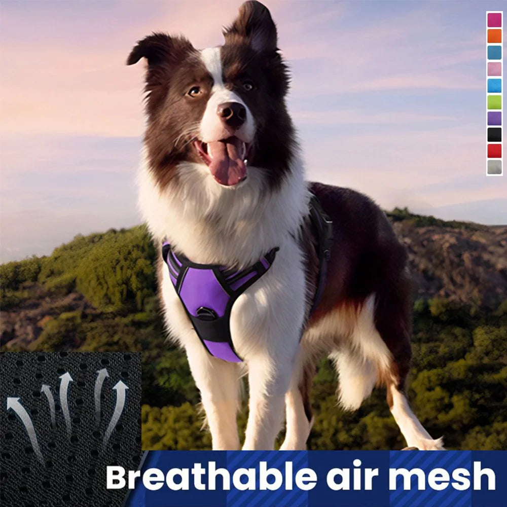 Harnais de Poitrine Antidérapant pour Chien Moyen/Grand - Style Gilet