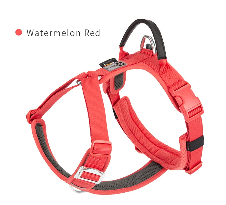Ensemble Harnais et Laisse Anti-Traction pour Grand Chien
