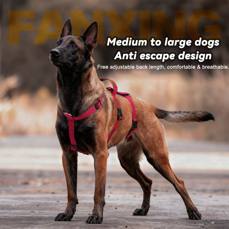 Harnais Anti-Traction Nylon pour Grand Chien - Entraînement