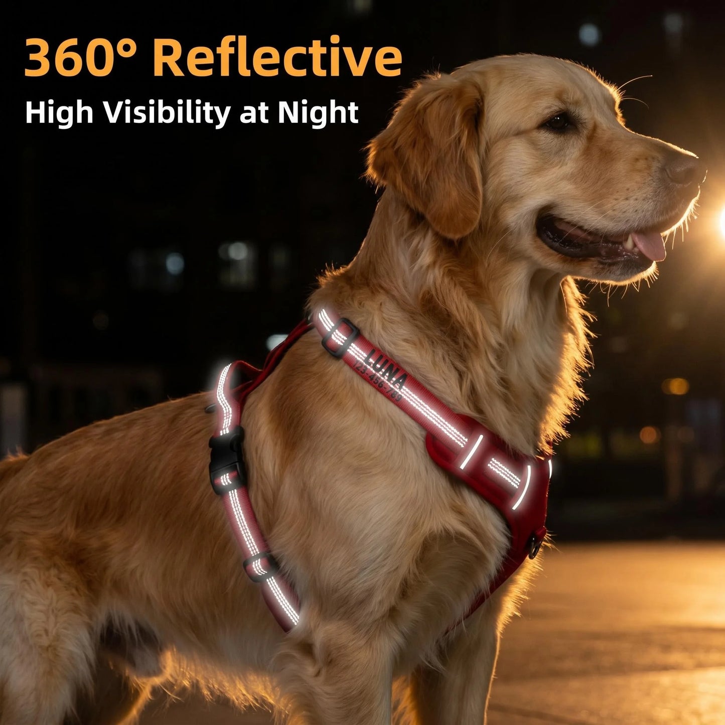 Harnais Personnalisé 360° pour Grand Chien - Brodé, Réfléchissant