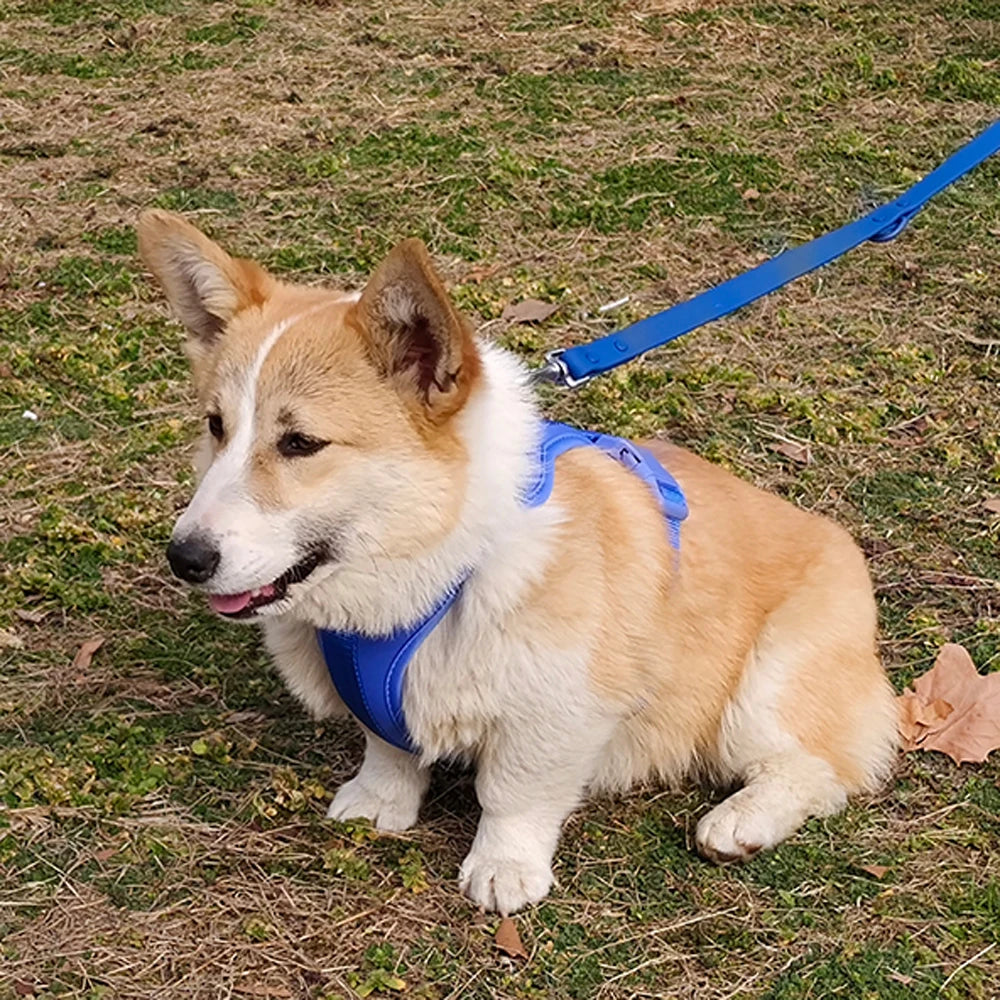 Harnais Léger Respirant pour Petit et Moyen Chien - Réglable