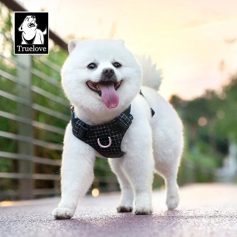 Harnais LED avec Support de Suivi - 19 Modes, Chien et Chat