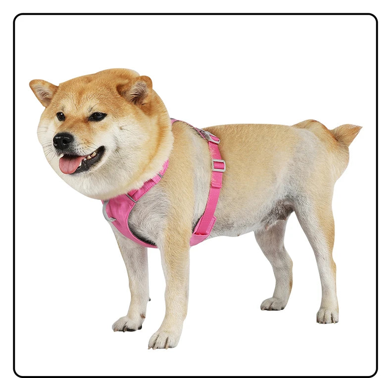 Harnais Anti-Évasion Léger Imperméable pour Chien Moyen - Réfléchissant
