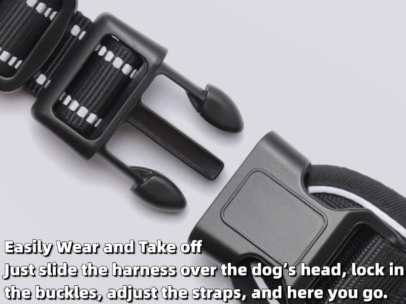 Harnais et Laisse Corde Nylon pour Grand Chien