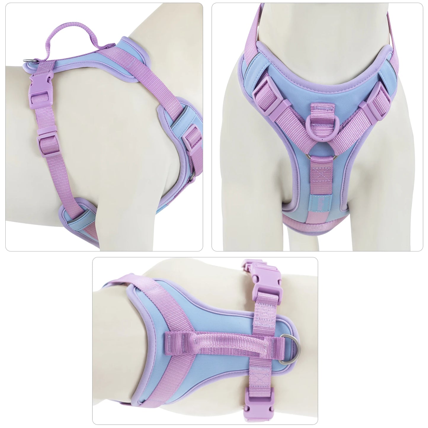 Harnais de Luxe Moyen Anti-Traction pour Chien - Personnalisé