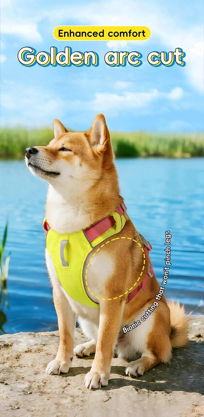 Harnais Anti-Évasion Léger Imperméable pour Chien Moyen - Réfléchissant