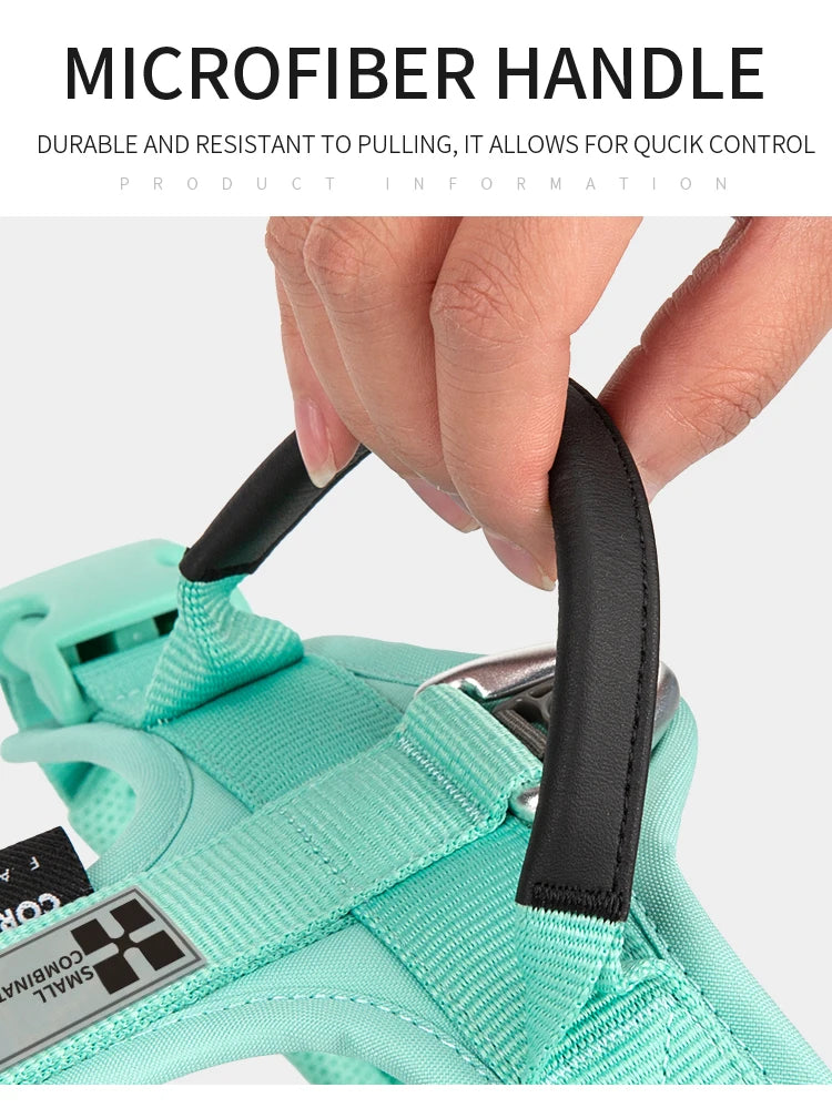 Ensemble Harnais et Laisse Anti-Traction pour Grand Chien
