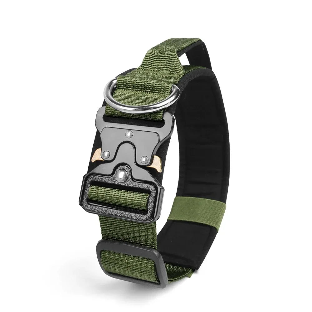 Ensemble Harnais et Accessoires Flexibles pour Bouledogue Français