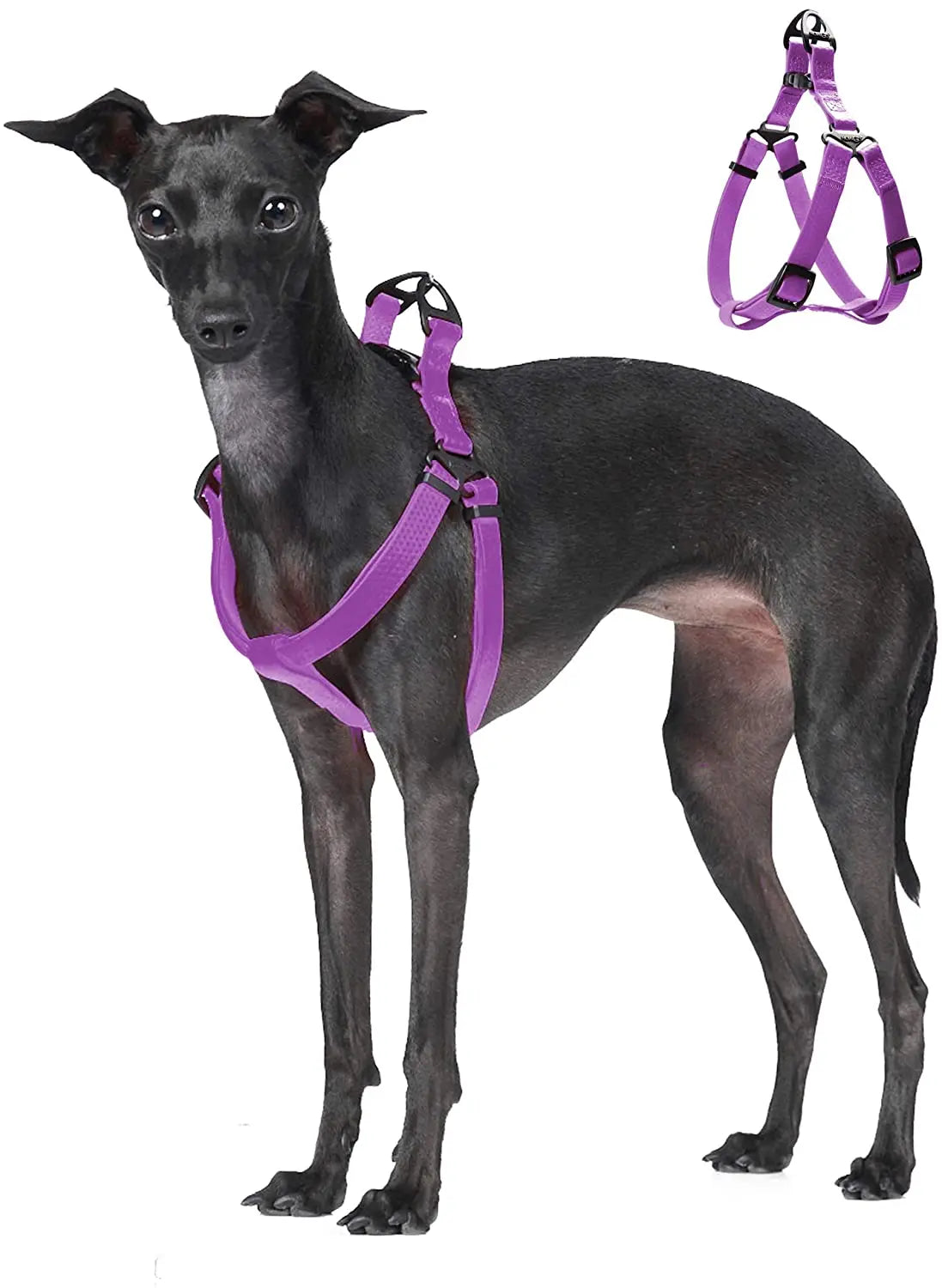 Harnais Réglable Étanche pour Chien - Sans Traction, Toutes Tailles