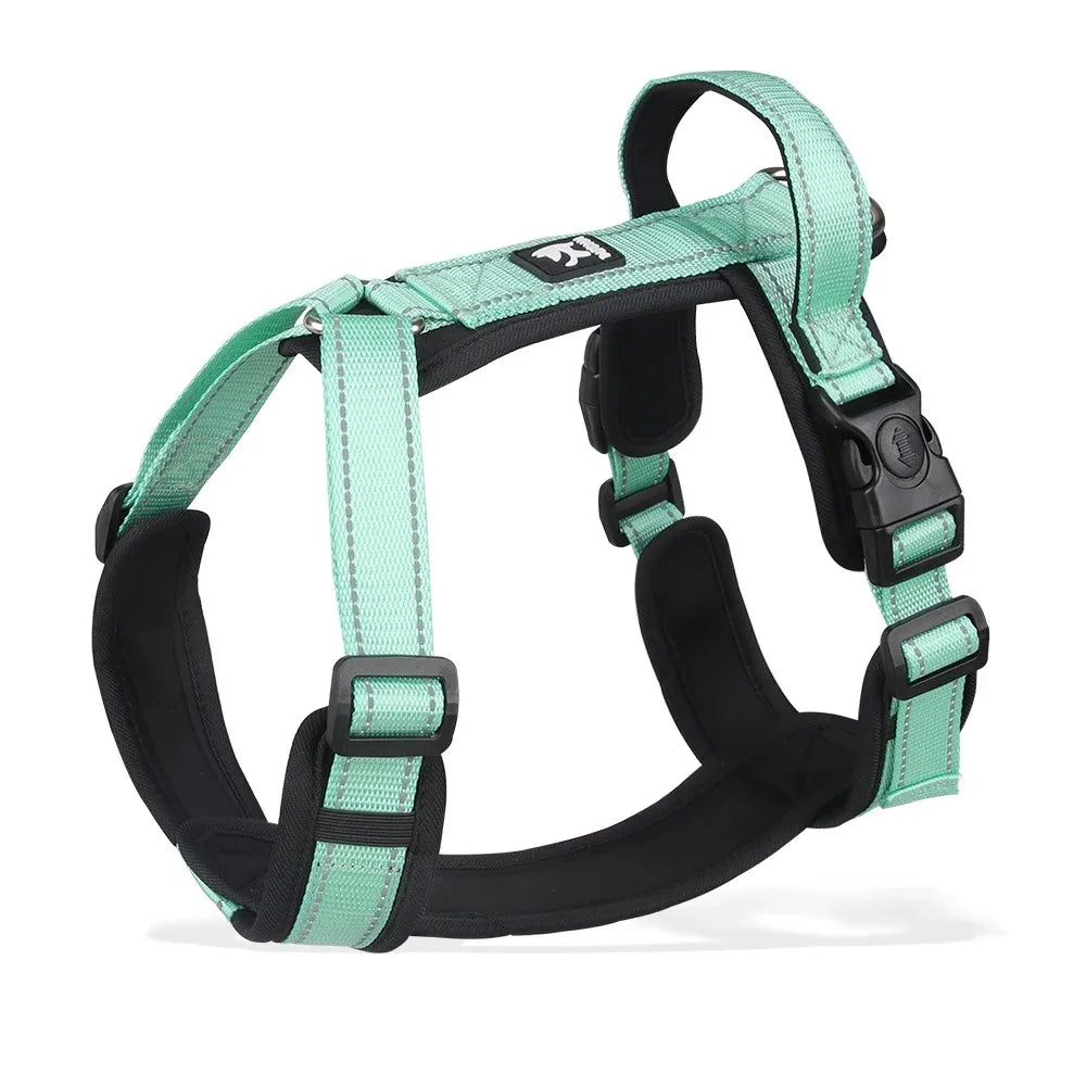 Ensemble Harnais, Laisse et Collier Classique pour Chien