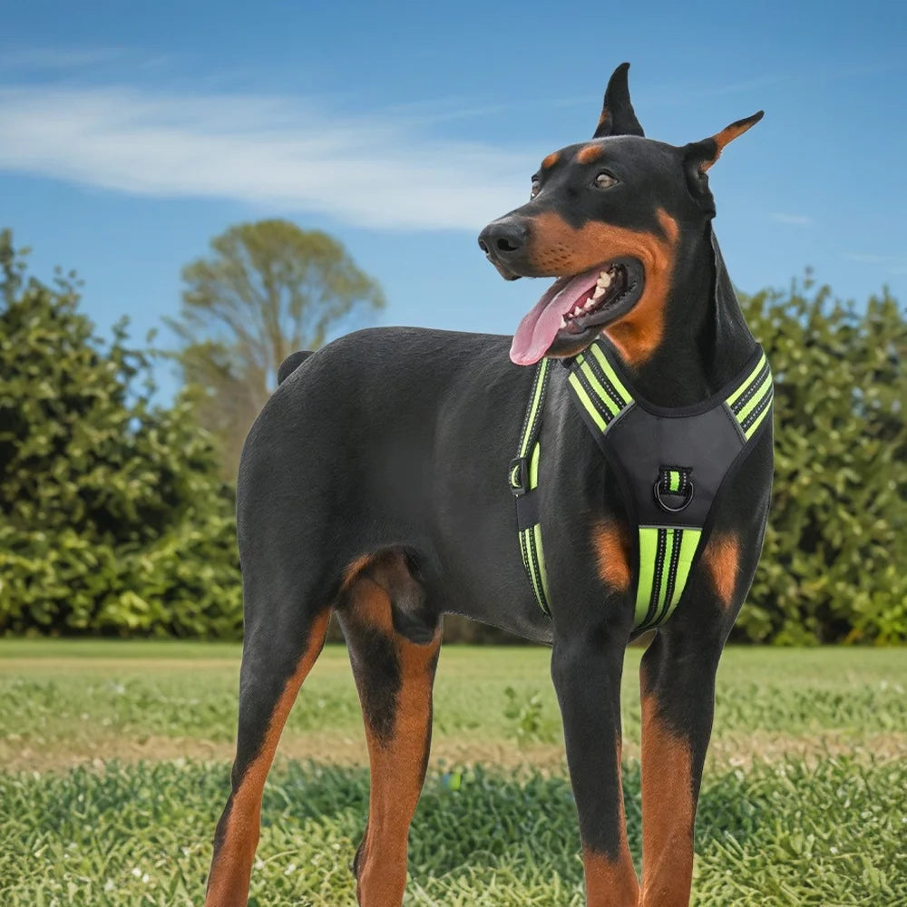 Harnais Anti-Traction Rembourré pour Chien - Poignée, Réfléchissant