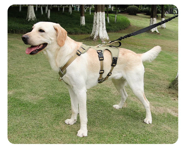 Harnais Anti-Évasion Grand Chien - Laisse Oxford Incluse