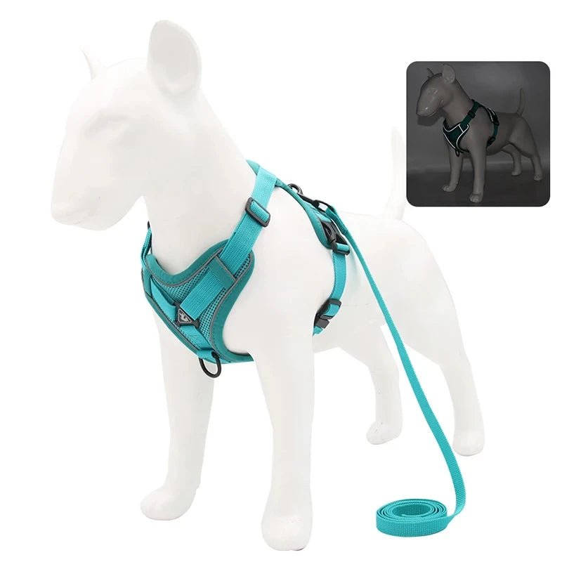 Ensemble Sans Côtes en Maille pour Petit Chien et Chat - Bouledogue Français