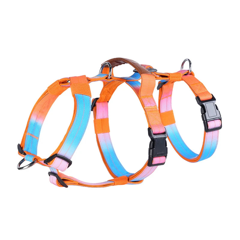 Harnais Anti-Traction Nylon pour Grand Chien - Entraînement