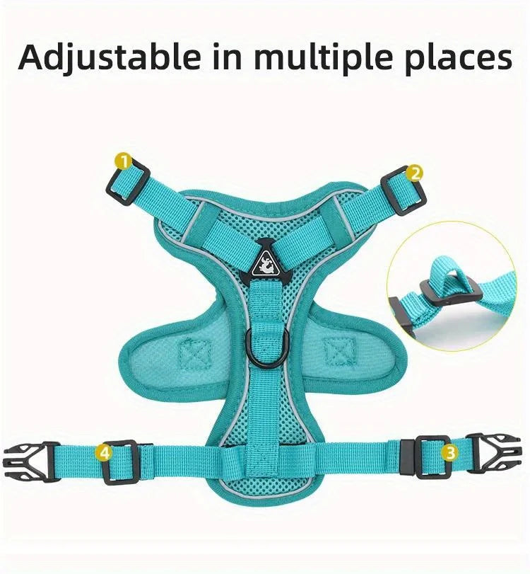 Ensemble Harnais et Laisse Anti-Traction pour Petit Chien et Chat - Réfléchissant