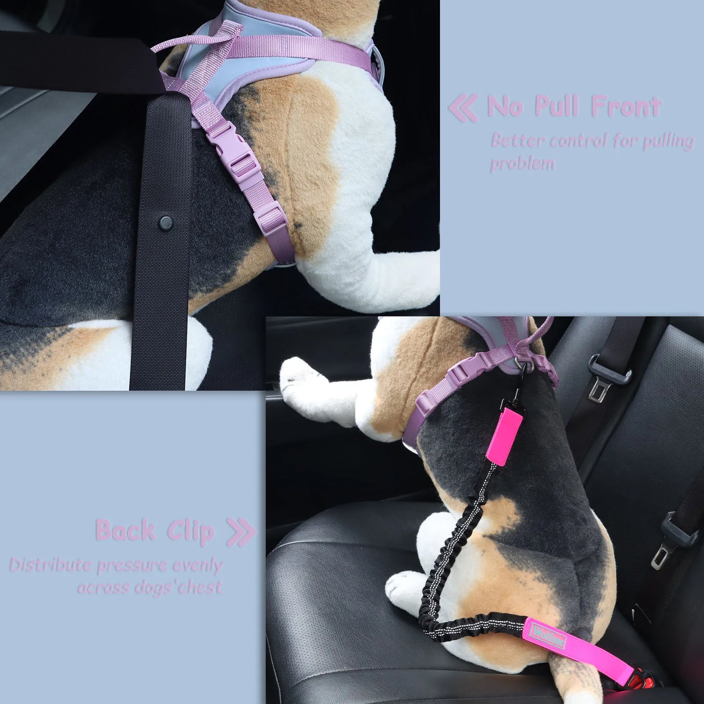 Harnais de Luxe Moyen Anti-Traction pour Chien - Personnalisé