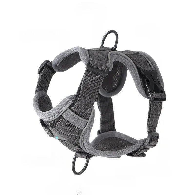 Ensemble Harnais et Laisse Sans Traction pour Petit Chien et Chat