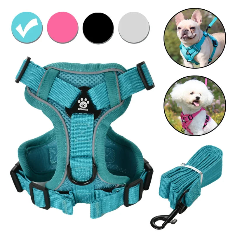 Ensemble Harnais et Laisse Réglables pour Petit et Moyen Chien