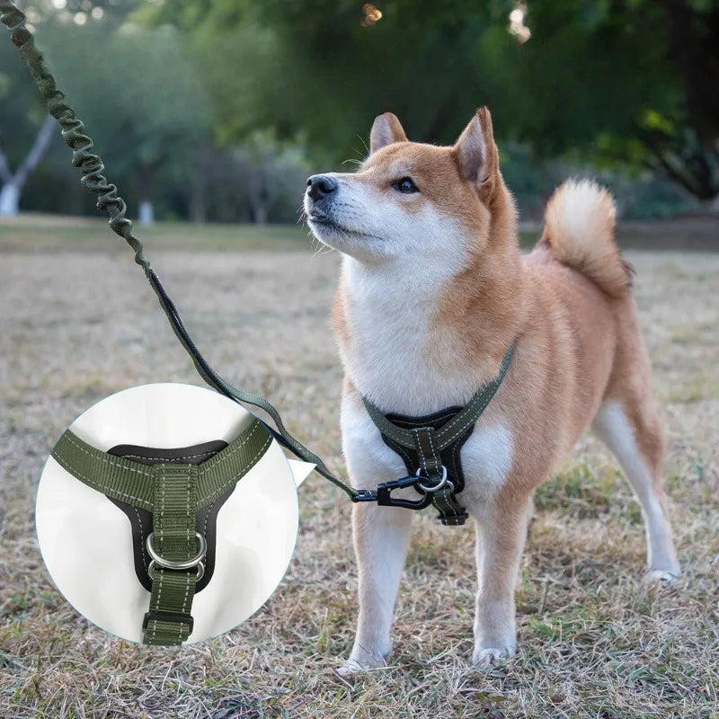 Harnais en Cuir pour Chien - Style Gilet, avec Collier et Laisse