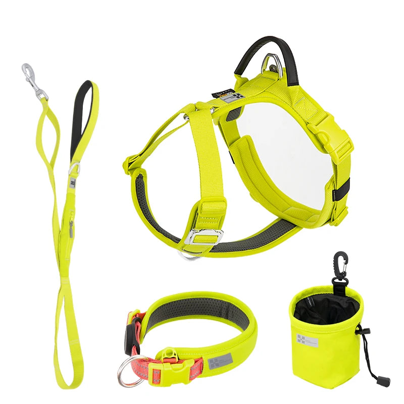 Ensemble Harnais et Laisse Anti-Traction pour Grand Chien