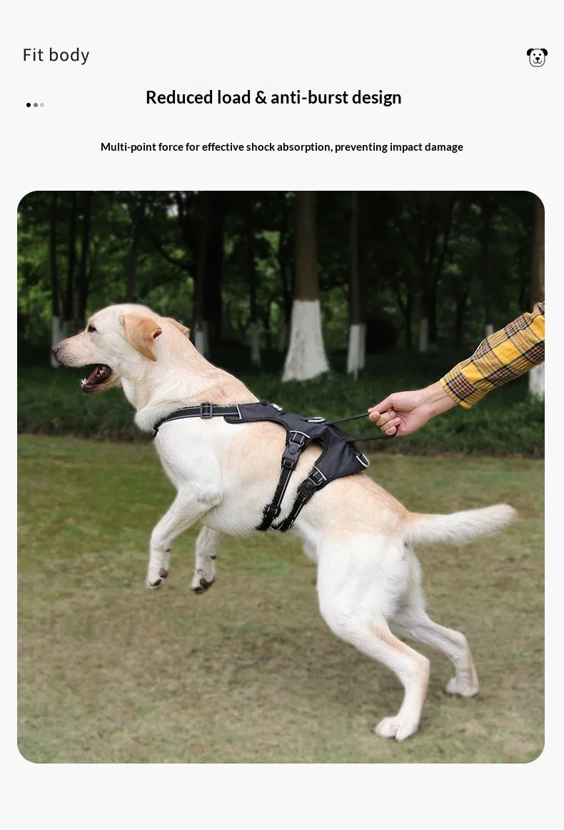 Harnais Anti-Évasion Grand Chien - Laisse Oxford Incluse