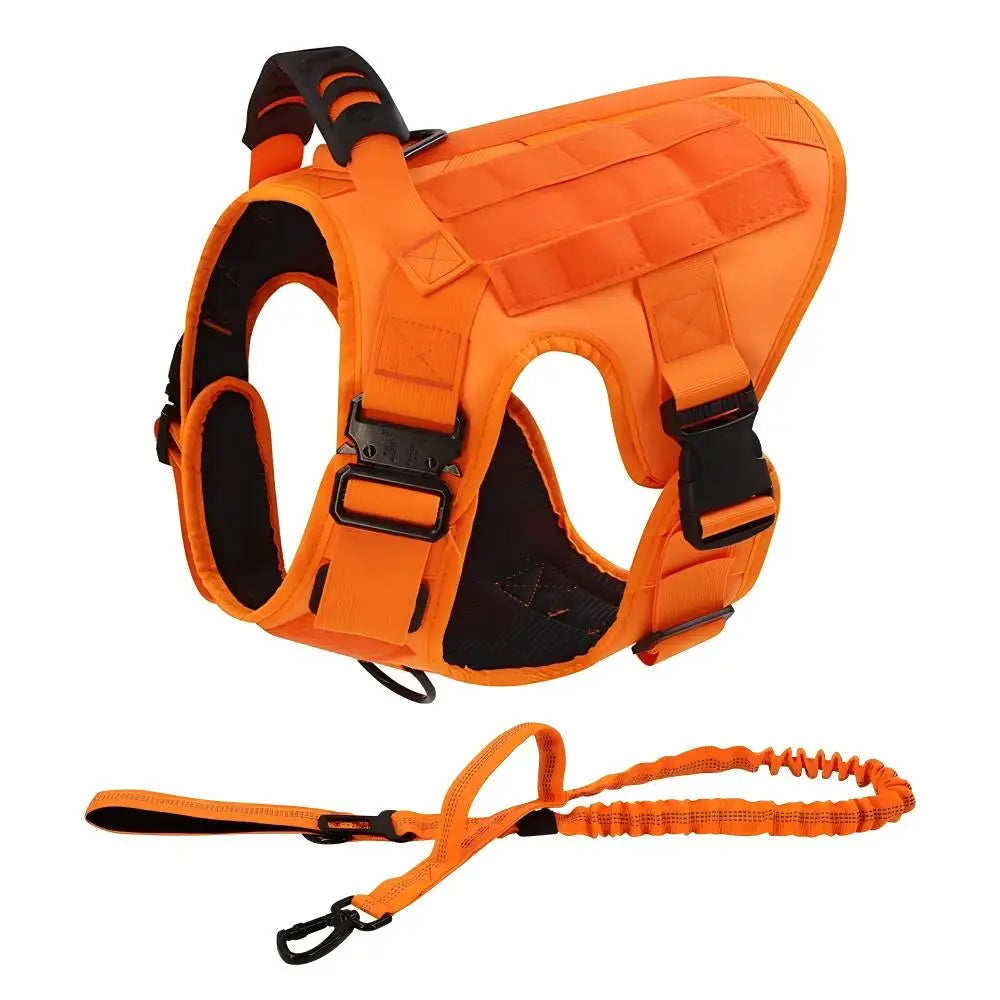 Ensemble Harnais et Laisse Tactique Militaire pour Chien - Anti-Traction