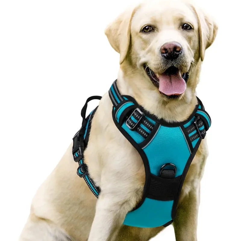 Harnais et Laisse Corde Nylon pour Grand Chien
