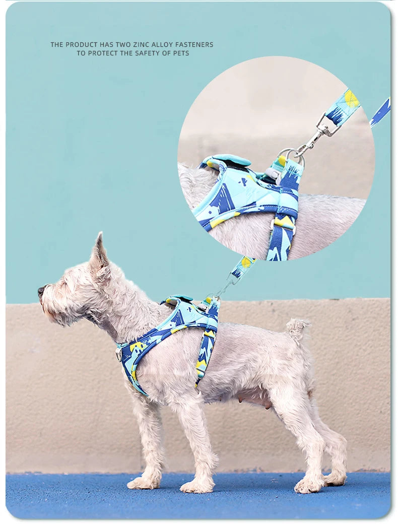 Laisse et Collier Réglables en Maille Polyester - Chien et Chat