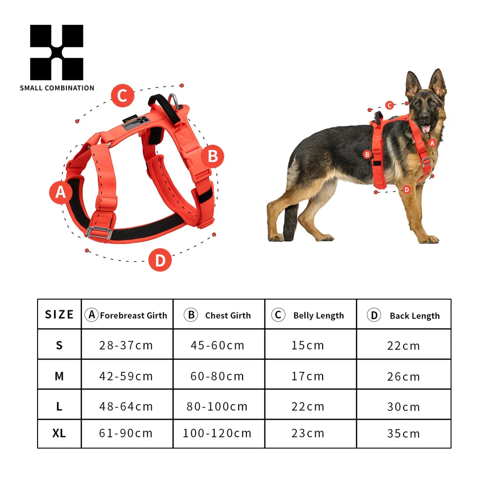 Ensemble Harnais et Laisse Anti-Traction pour Grand Chien