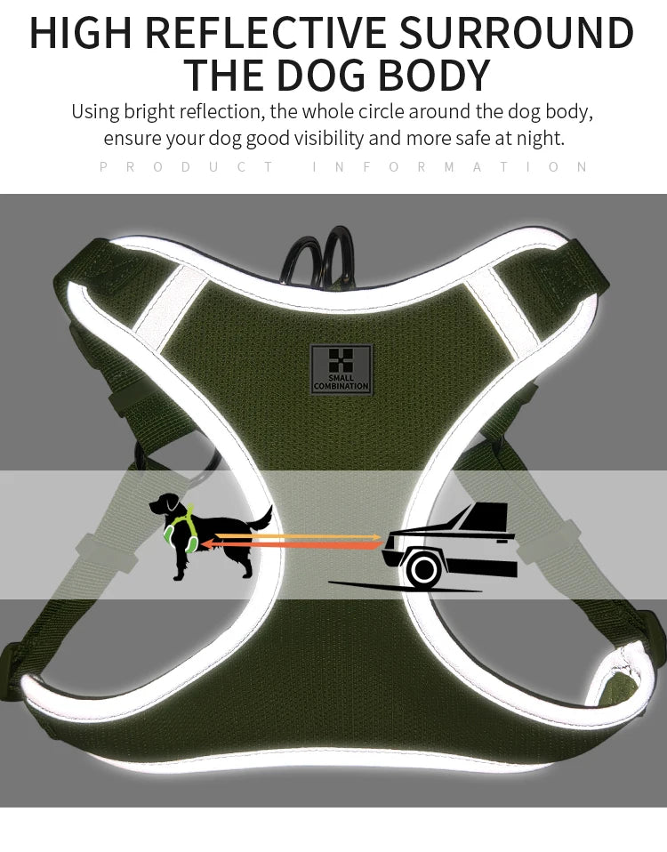 Ensemble Harnais et Laisse Réglable pour Chat et Petit Chien